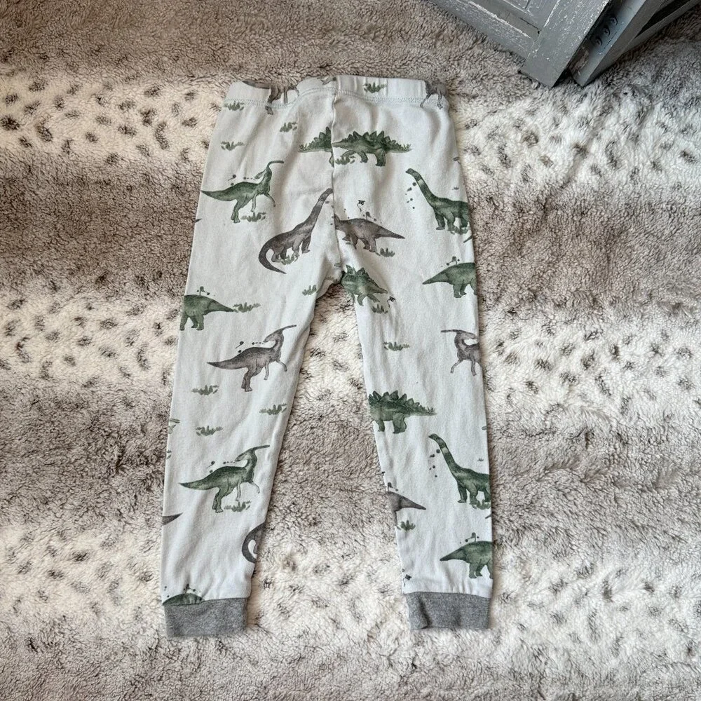 Burt's Bees Baby dinosaur matching set boys 3T preppy pajamas loungewear spring